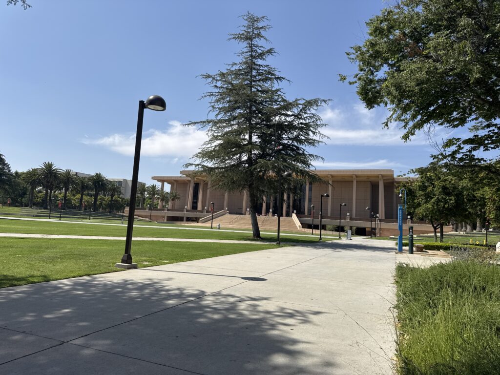 The University Library