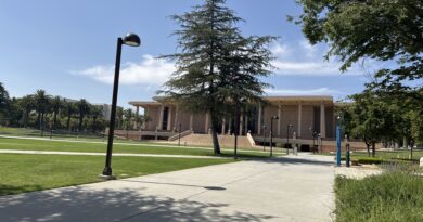 The University Library